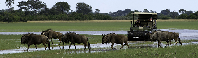 Luxury Southern African Safaris