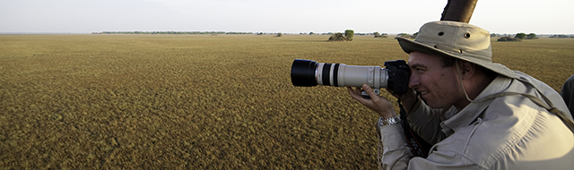 Safari Photography